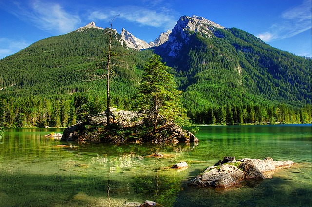在这种背景